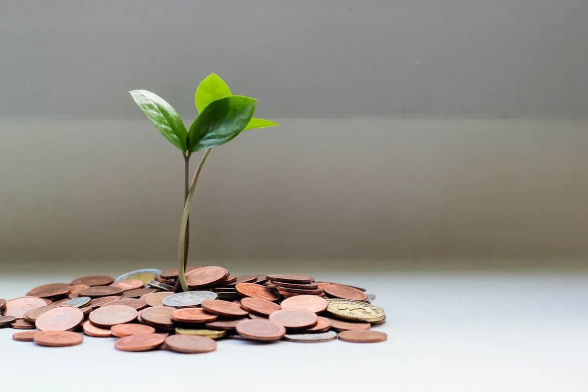 10 Tipps um bei Ihrem Umzug Geld zu sparen - Umzugsratgeber Essen